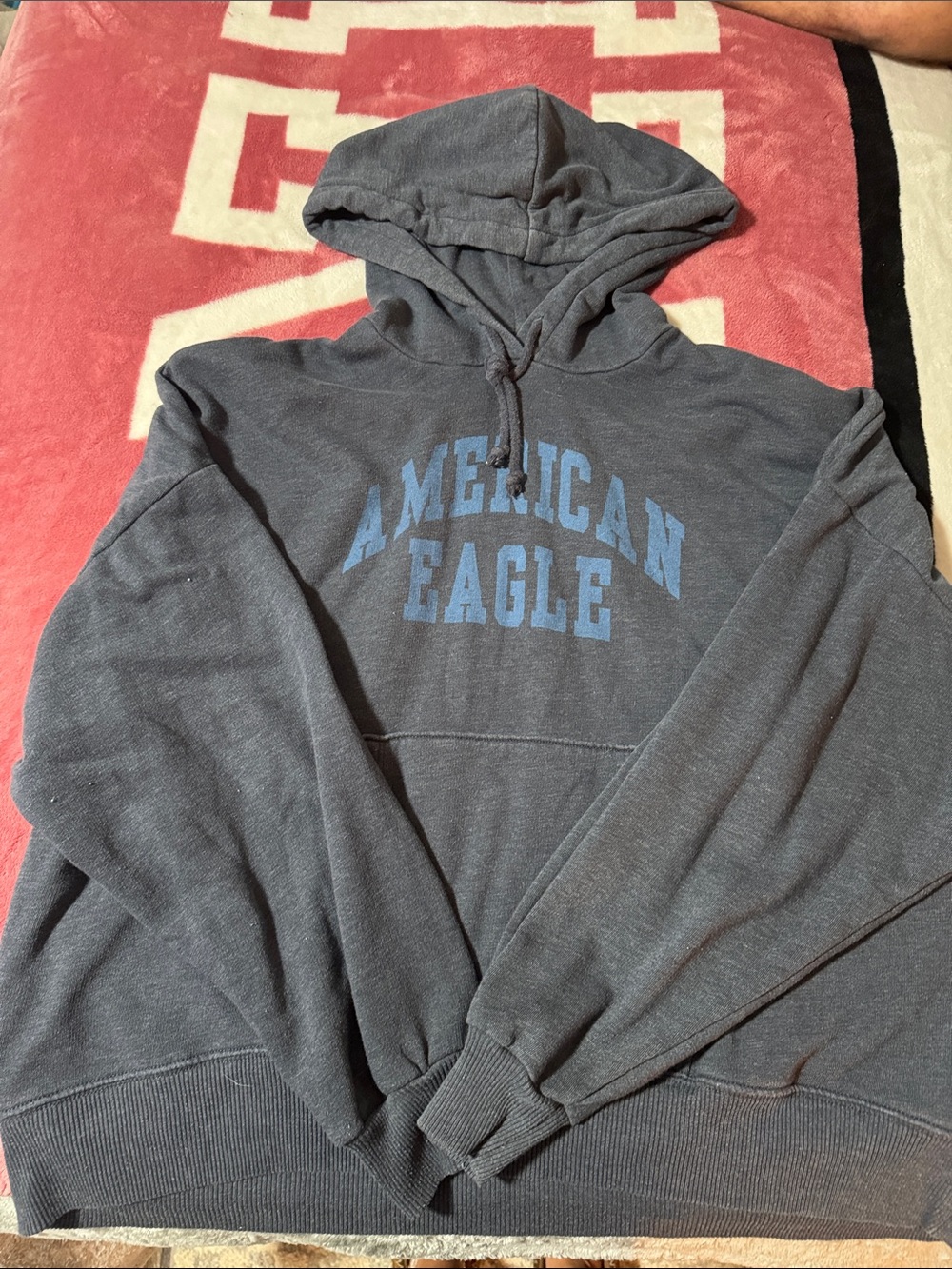 American Eagle cropped hoodie